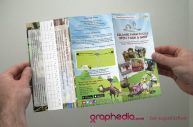 Kildare Farm Foods Brochure Design